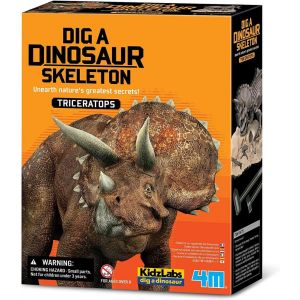 www.bigcerebro.com.br/brinquedo-educativo-infantil-kit-de-escavacao-triceratopo-4m