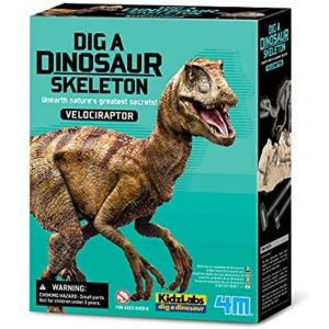 www.bigcerebro.com.br/brinquedo-educativo-infantil-kit-de-escavacao-velociraptor-4m