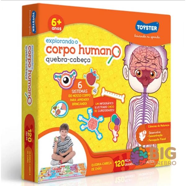 Quebra-Cabeça Corpo Humano - Pirilampo Brinquedos Educativos